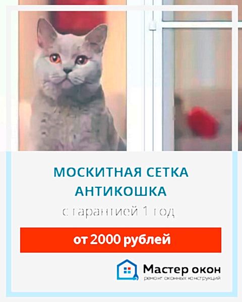 Москитная сетка антикошка