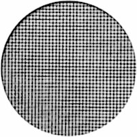 Москитная сетка Антикошка