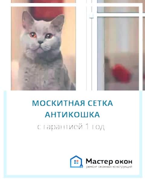 Москитная сетка антикошка