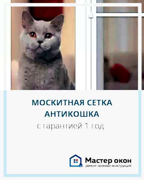 Москитная сетка антикошка