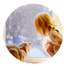 продувает окно