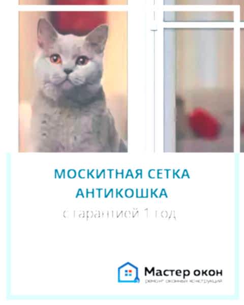 Москитная сетка антикошка