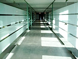 Заказать бронзовую зеркальную тонировку