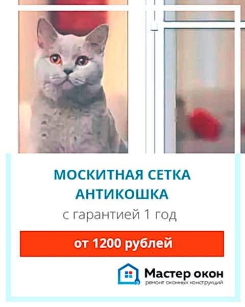 Москитная сетка антикошка