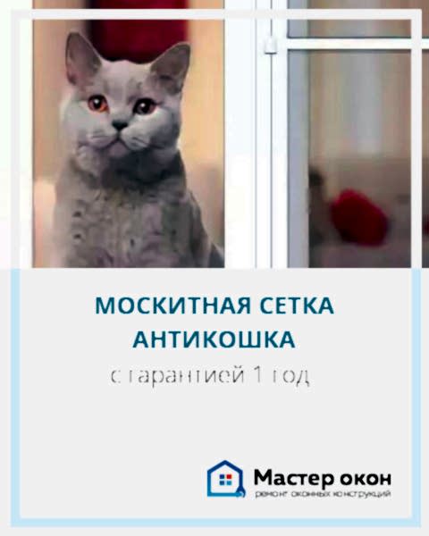 Москитная сетка антикошка