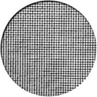 Москитная сетка Антикошка